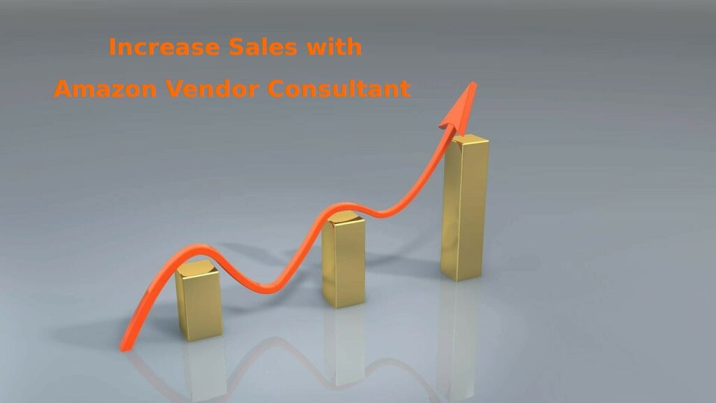 amazon vendor consultant